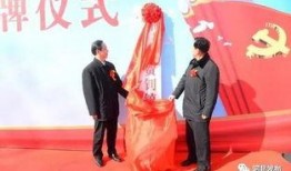 威县爆料最新消息新闻网,最新消息全网热议，揭秘事件真相！