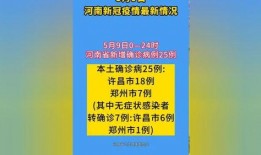 平顶山最新爆料实时疫情,实时数据揭示防控进展与挑战